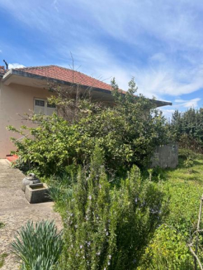 Charming house in Gošići